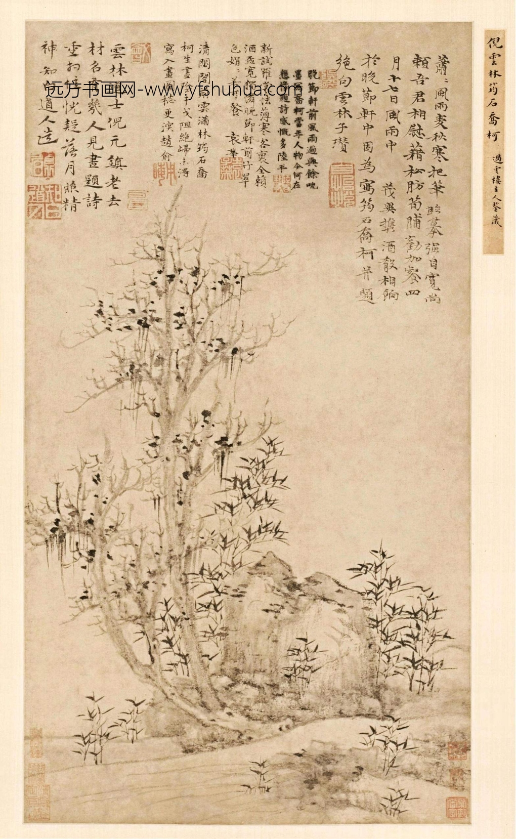 元 倪瓒 筠石乔柯图轴67.3×36.8克利夫兰馆藏　